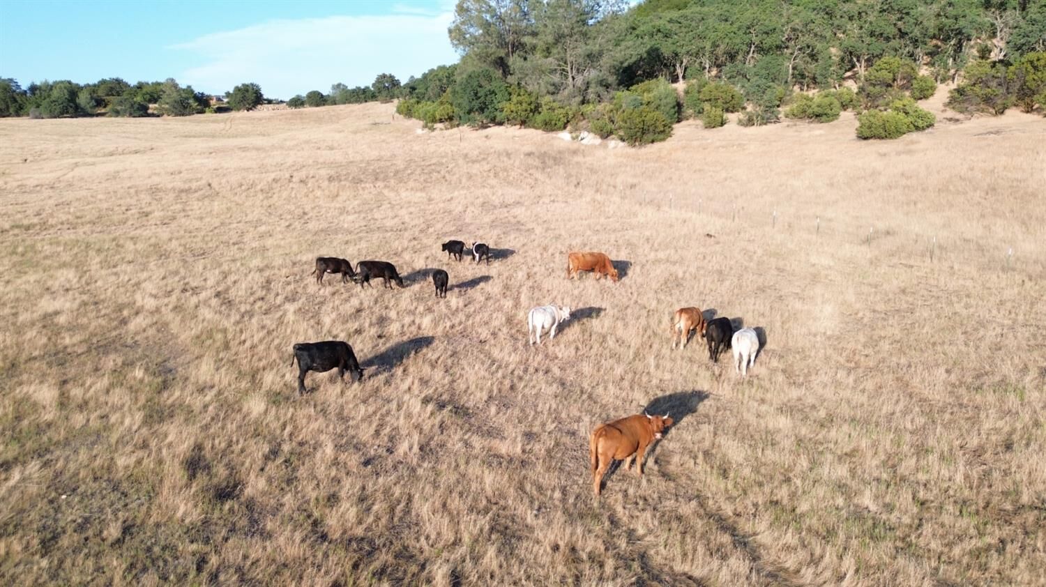 Property Photo:  12244 S Camanche Parkway South  CA 95225 