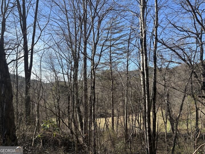 Property Photo:  0 Kimsey Mountain Highway  TN 37391 