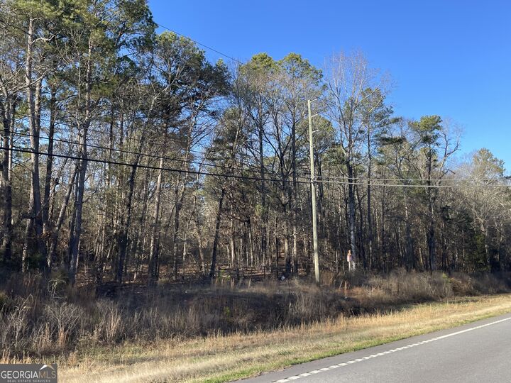 Property Photo: 13 Ac S Highway 81 GA 30016