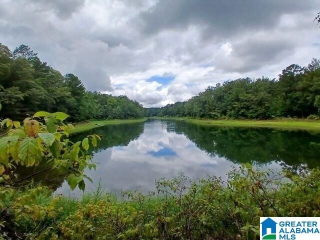 Property Photo: 105 Point Aquarius 22 AL 35014