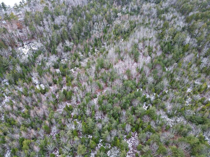 Property Photo:  Lot 73 Judy Avenue  NS B0W 3M0 