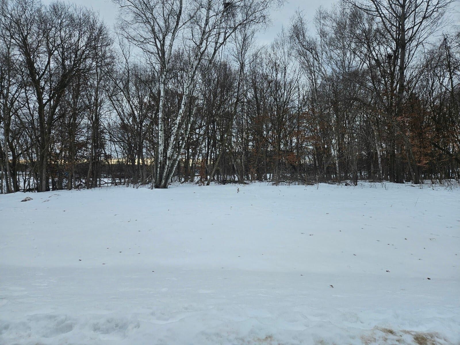 Property Photo:  Lot 2, Block 3 2 1/2 Avenue NE  MN 56375 