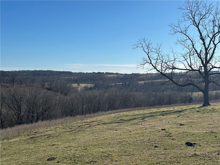 Property Photo:  Tbd Hwy 23  AR 72740 