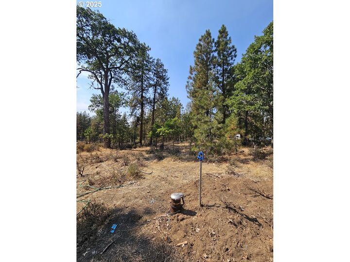 Property Photo:  Hawks Wind Rd 1  WA 98620 