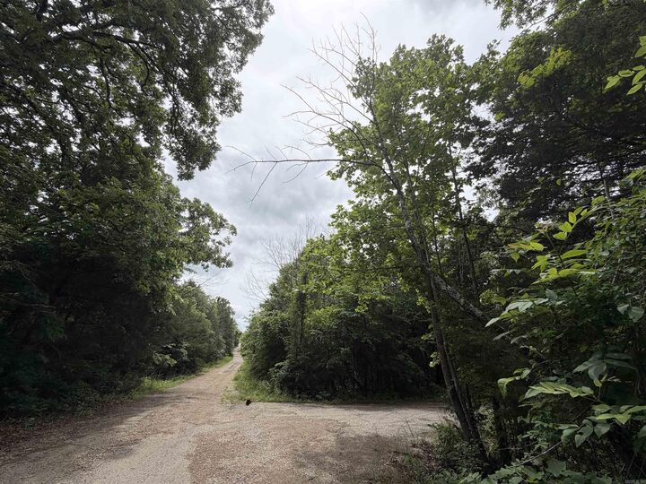 Property Photo: 001 Clark Lane AR 72512