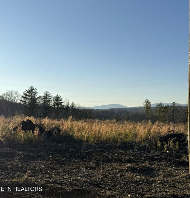 Property Photo: Possum Trot Rd. - Tract 11 TN 37337