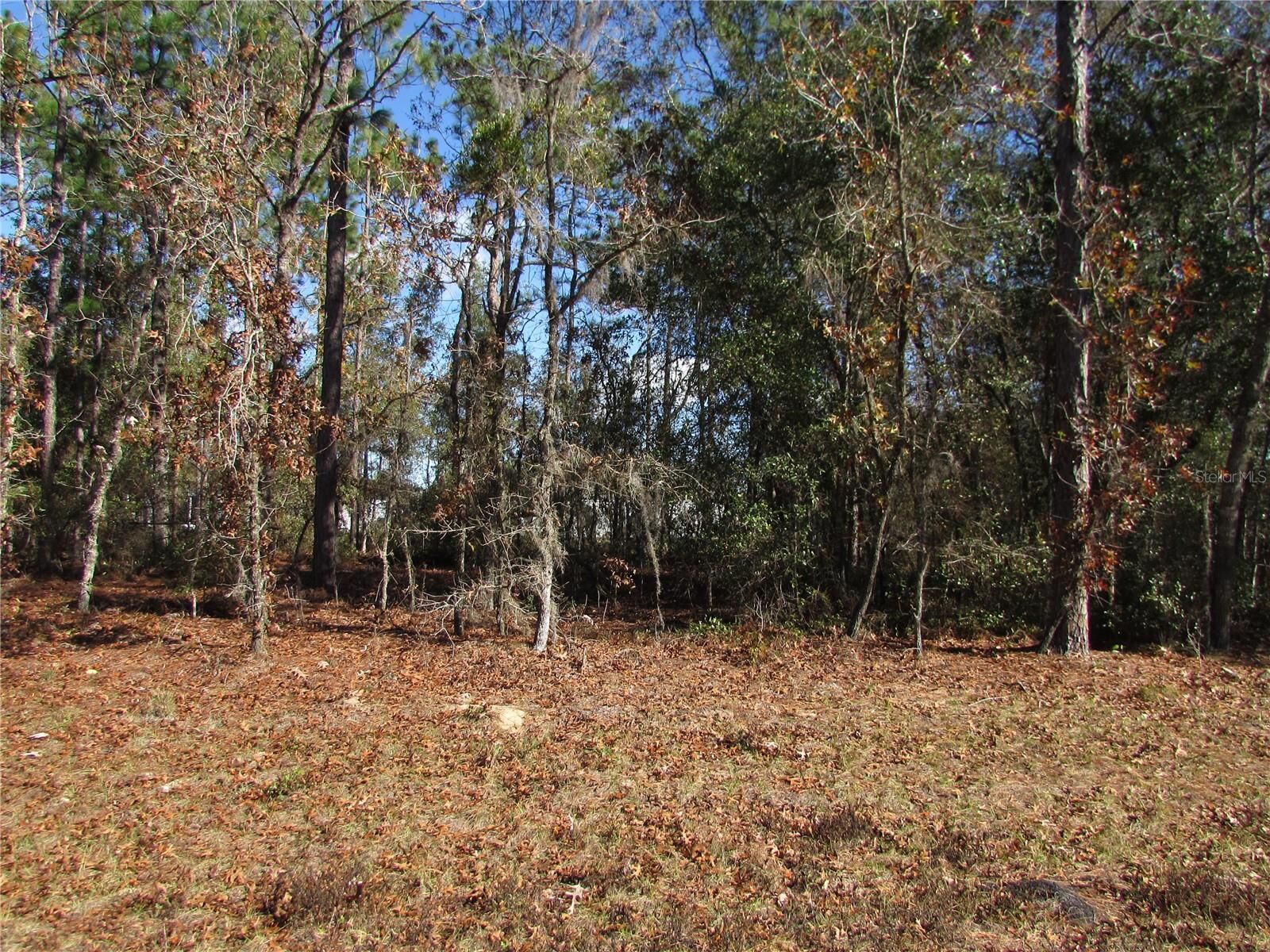 Property Photo:  Lot 18 SW 156 Street  FL 34473 
