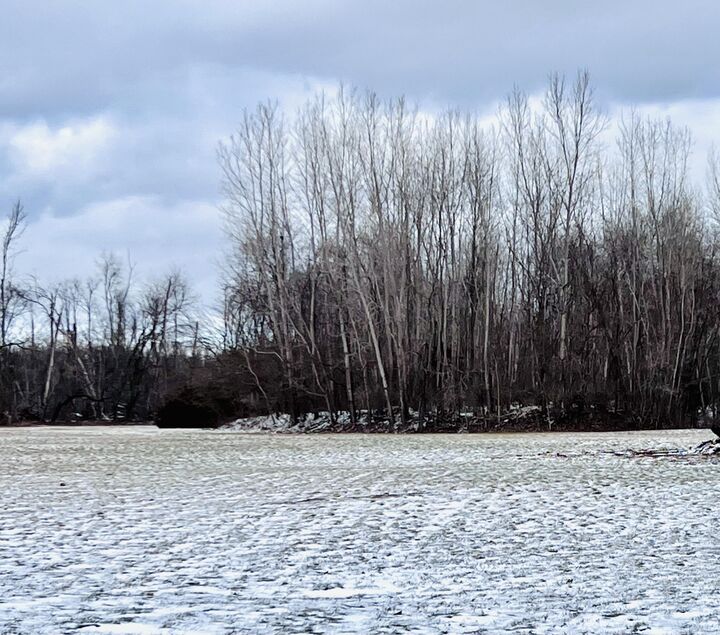 Property Photo:  56660 Tanner Trail  MI 49093 