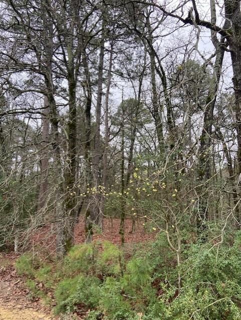 Property Photo:  2529 Cr 3540  TX 75765 