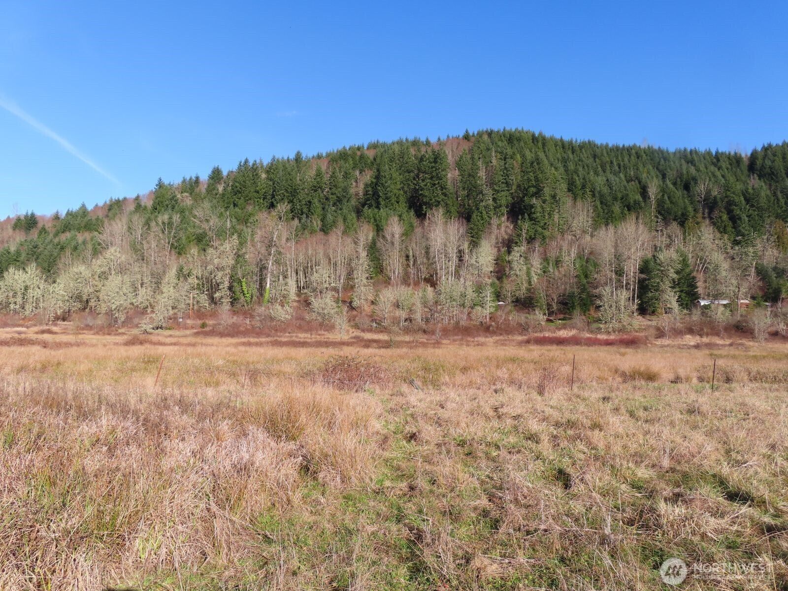 Property Photo: 0 Xxx Larson Road WA 98564