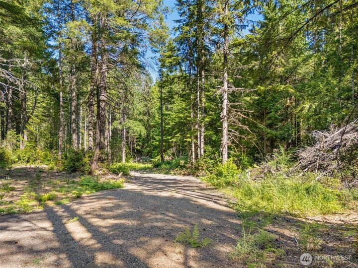 Property Photo: 0 Tr 3 E Mason Lake Road WA 98546