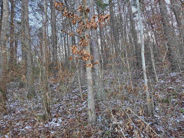 Property Photo: D Street KY 41230