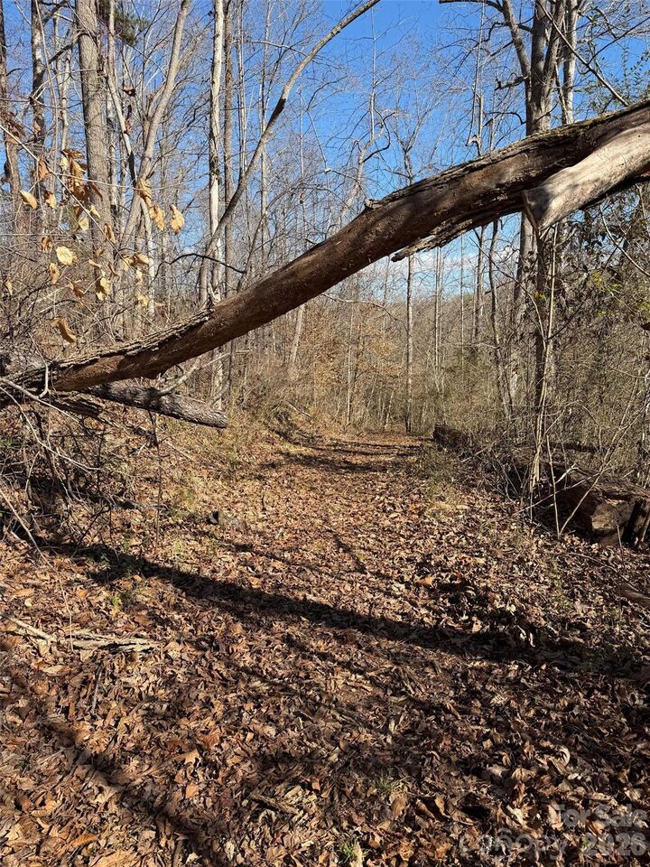 Property Photo: 000 E Rambling Creek Road 11 NC 28782