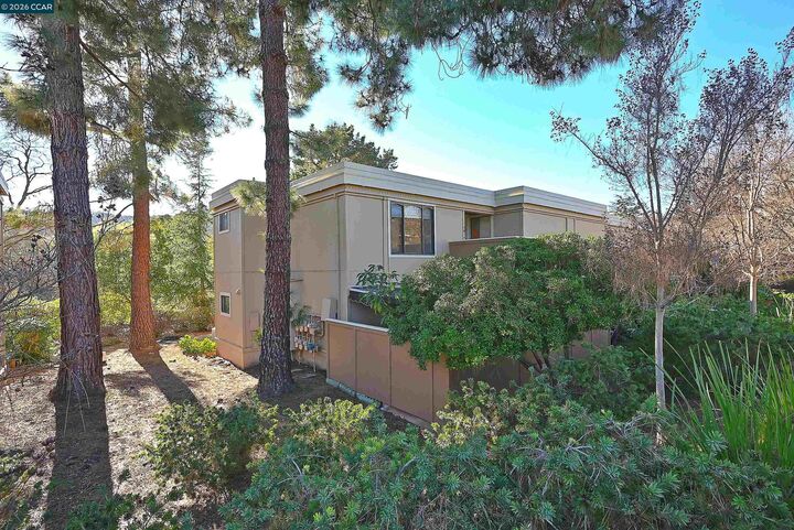 Property Photo:  1857 Golden Rain Rd 1  CA 94595 