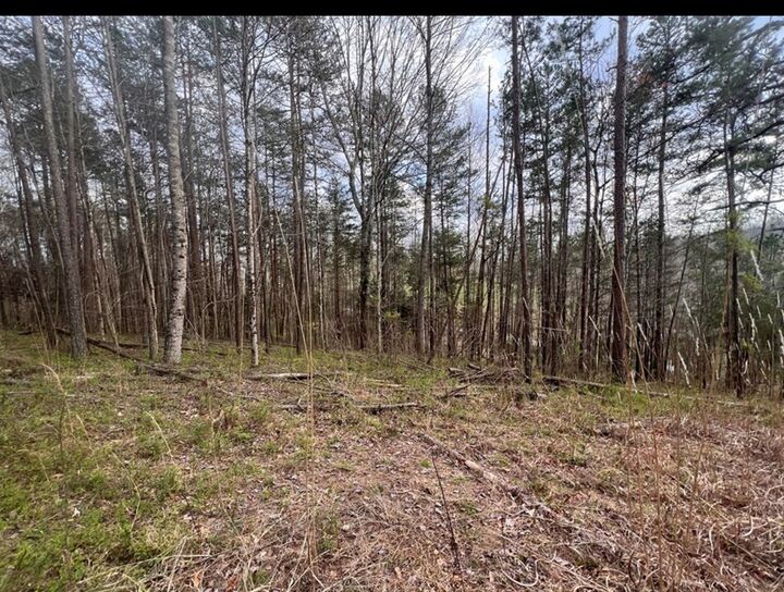 Property Photo:  0 Cynthia Chapel Rd  KY 41230 