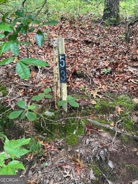 Property Photo: 10.96 Ac Paramount Trail GA 30536