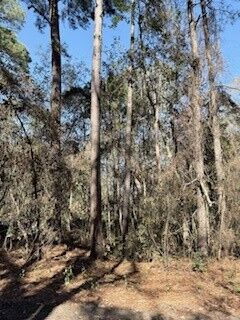 Property Photo:  28 Deer Trail Lane  GA 31320 