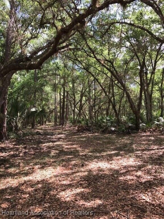 Property Photo:  49 Fenny Bosk Trail  FL 33960 