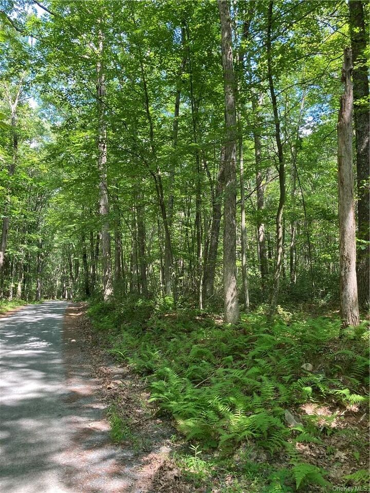 Property Photo: Allen Road NY 12790