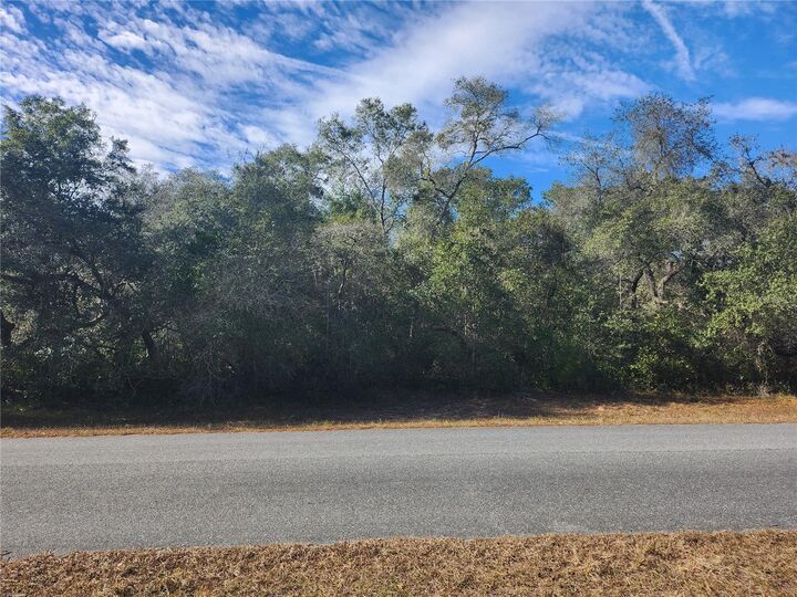 Property Photo:  Tbd SW 29 Terrace Road  FL 34473 