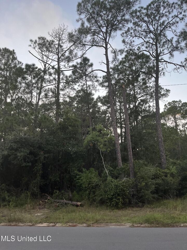 Property Photo:  0 Greenwood Drive  MS 39571 