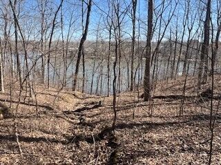 Property Photo:  Lot 244 Parrish Ridge Lane  IL 62939 