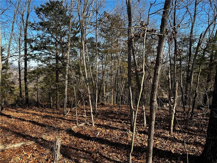 Property Photo:  Lot 21 Anchor Drive  AR 72756 