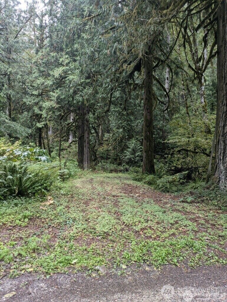 Property Photo: 0 D1-L68 Cascade River Park Road WA 98267