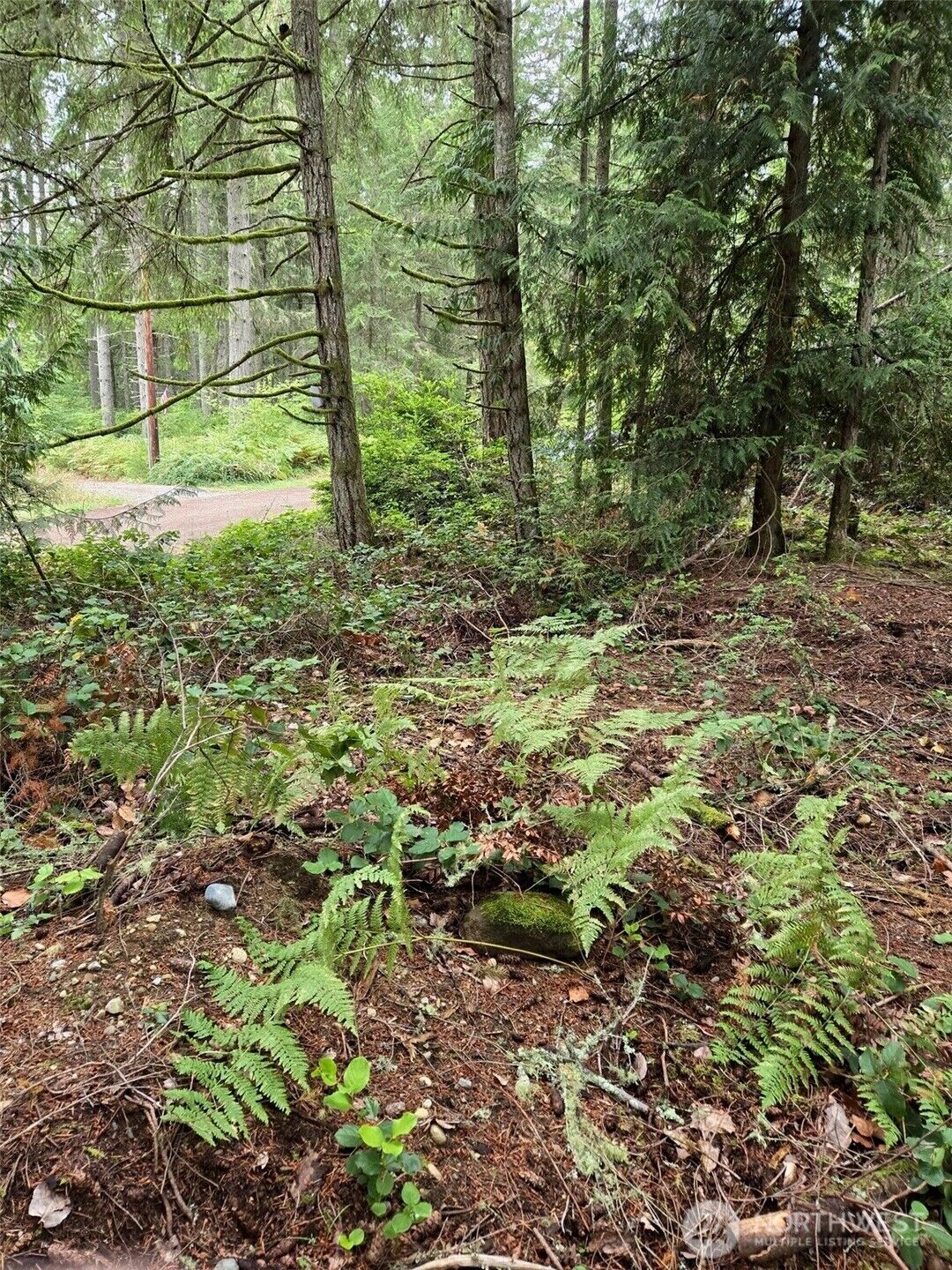 Property Photo:  11119  122nd Avenue Ct  WA 98303 