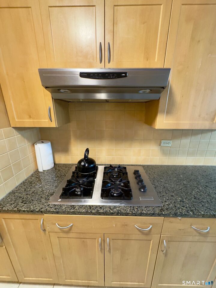 Property Photo:  31 Woodland Street 1I  CT 06111 