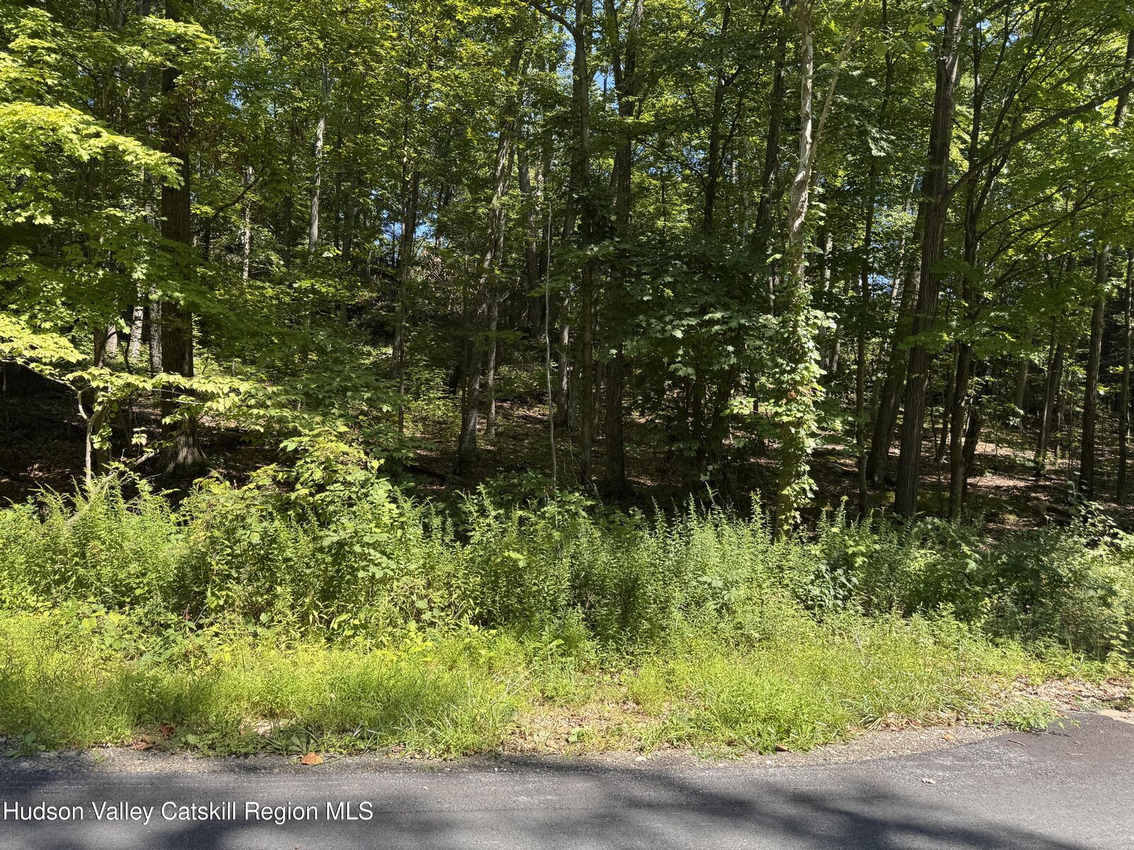 Property Photo:  17 Vanessa  NY 12580 