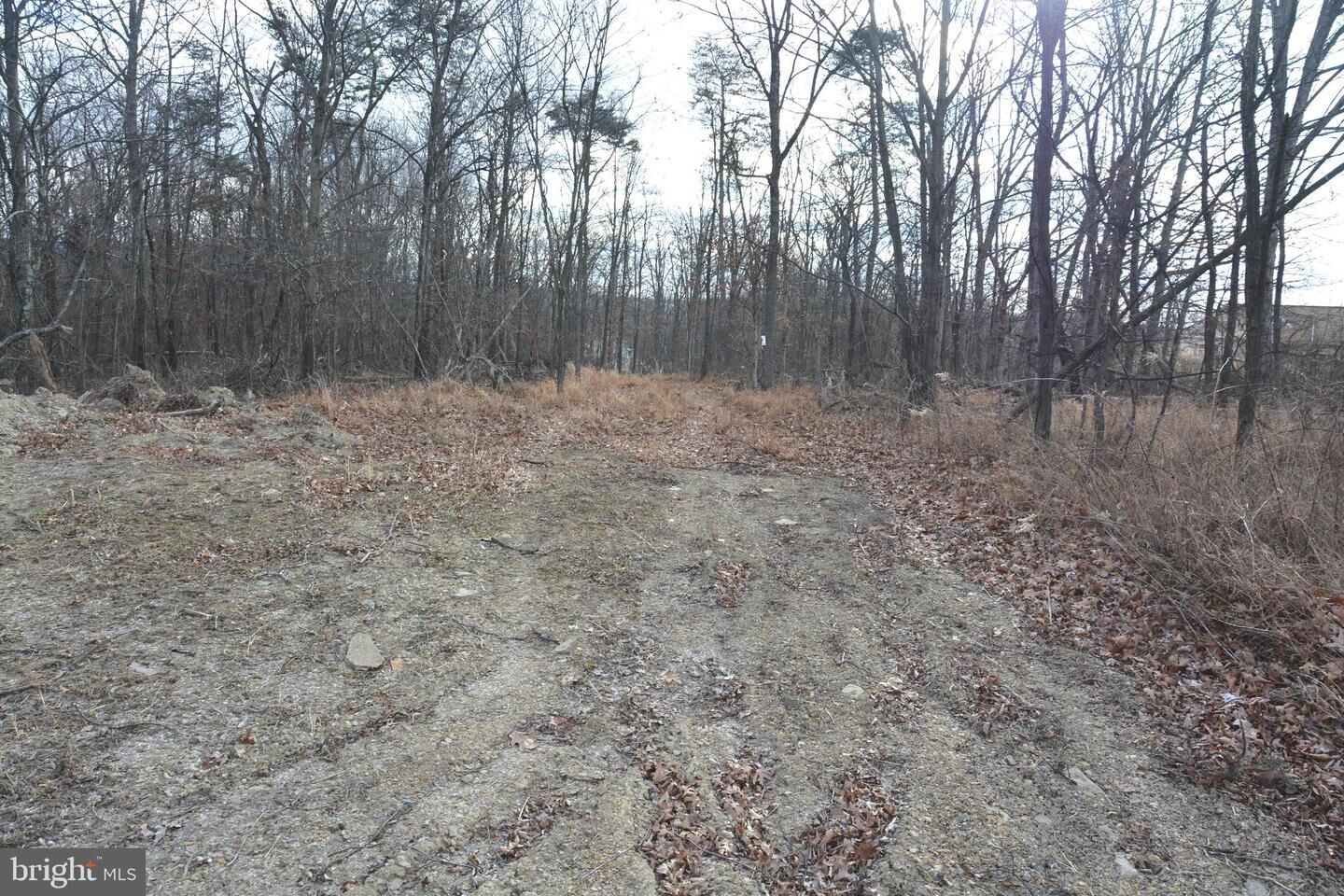 Property Photo: N Timber Ridge Rd Lot 1 (54) VA 22625