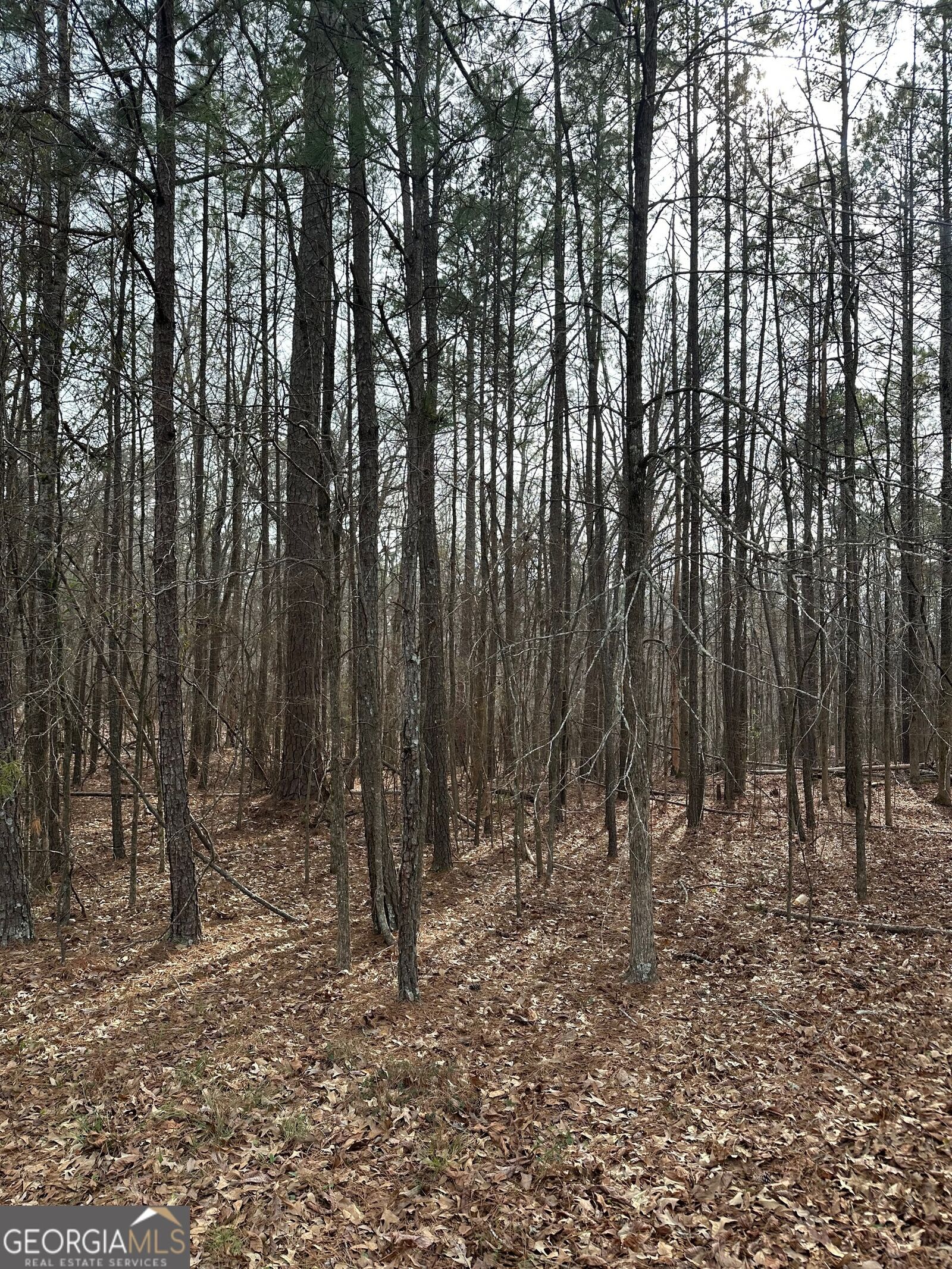 Property Photo:  0 Tussahaw Point Drive  GA 30233 