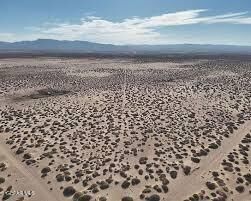 Property Photo:  Pn-65679 Hudspeth 73 Psl 10.00 Acres  TX 79851 