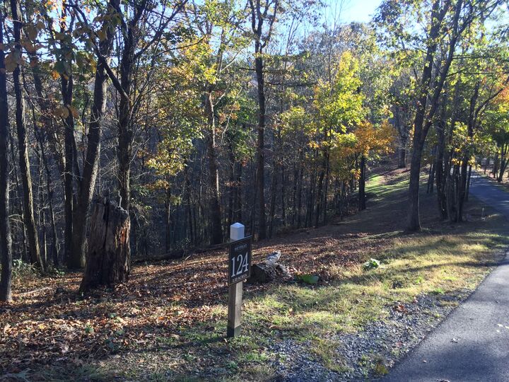 Property Photo: Lot 124 Withrow Landing WV 24925