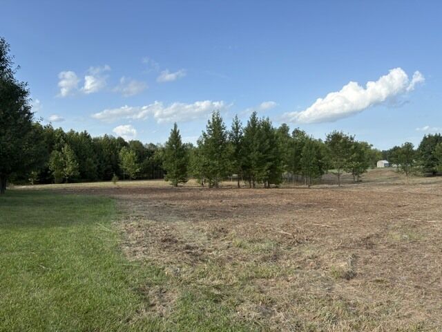 Property Photo: 000 Lavern Road IL 62924