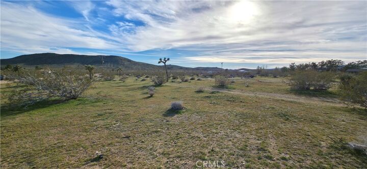 Property Photo: 59787 Sharp Terrace Drive CA 92284