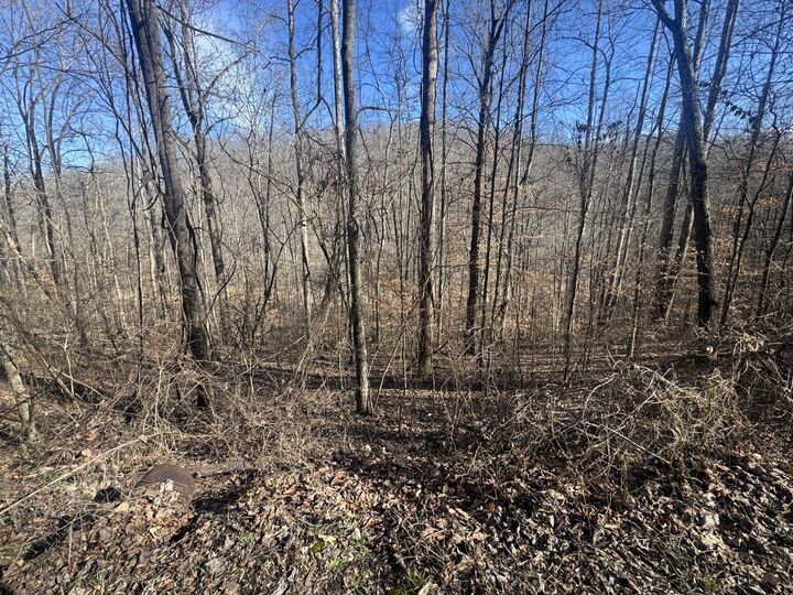 Property Photo:  0 Lakeside Dr  TN 37166 