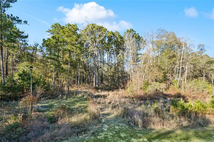 Property Photo:  12561 Goldentop Drive  LA 70433 