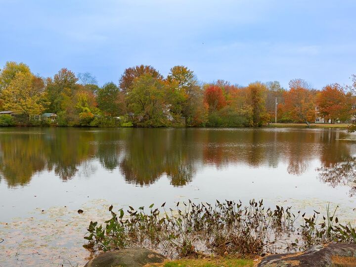 Property Photo:  290 Calef Highway  NH 03042 