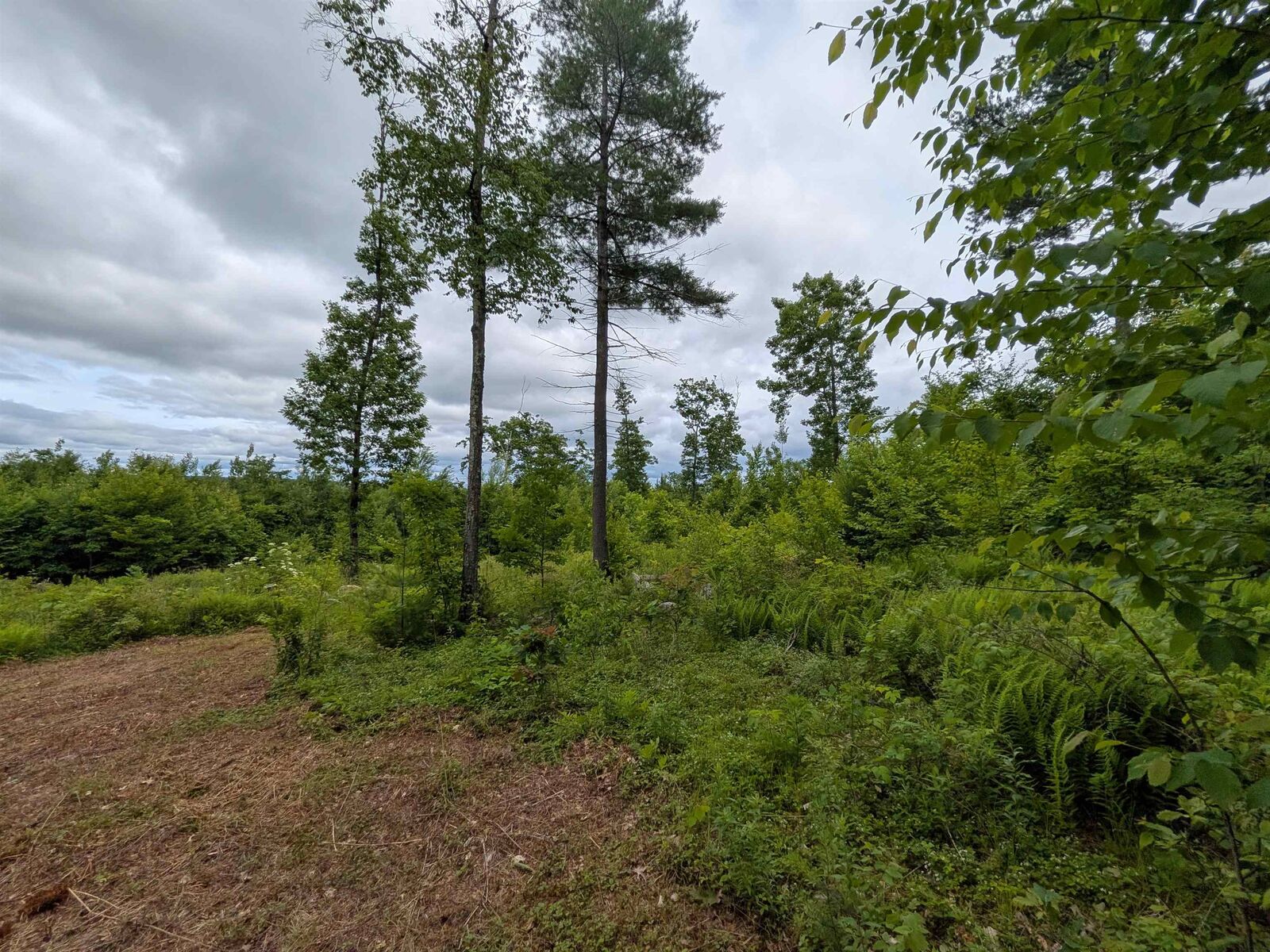 Property Photo:  58-6-2 Duggin Road  NH 03086 