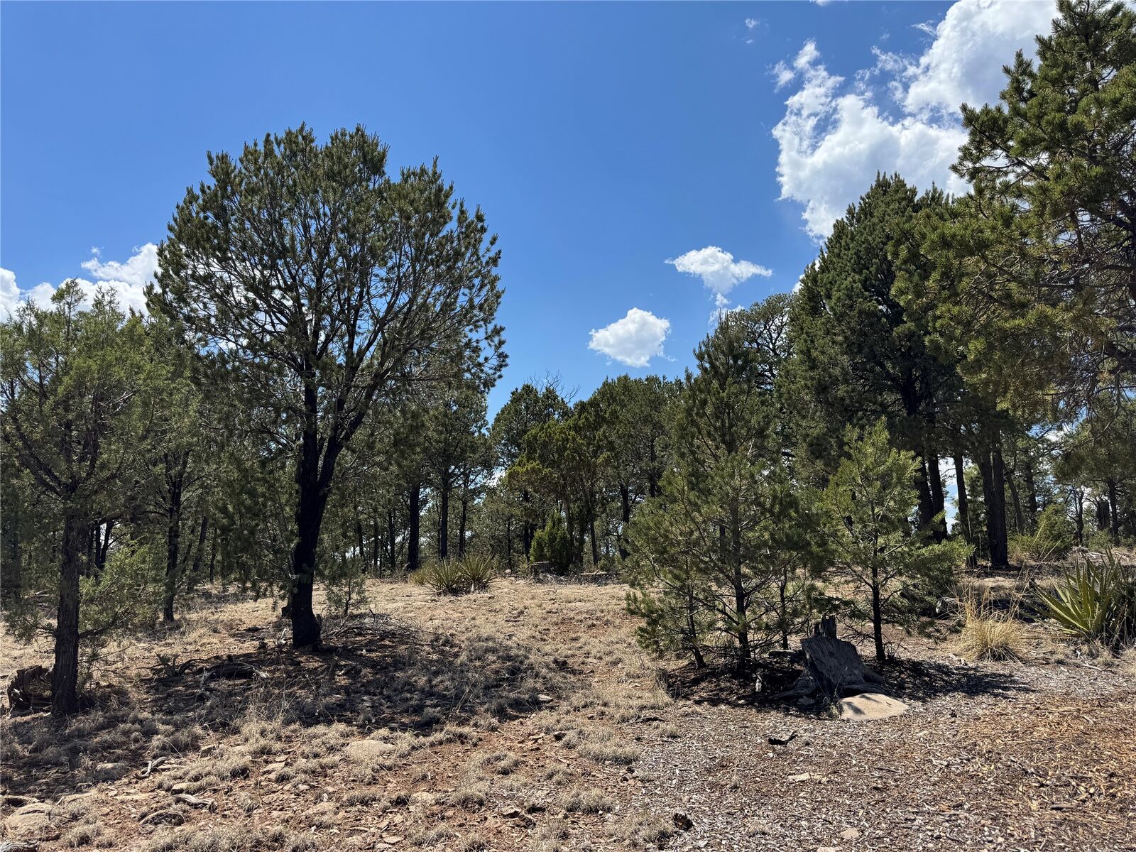Property Photo: 7 Dancing Hawk Drive NM 87552