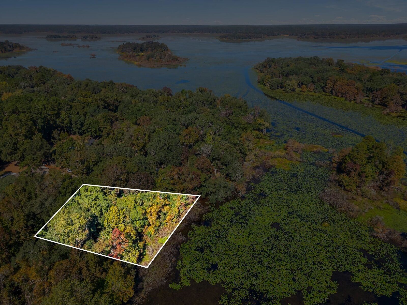 Property Photo:  0 Lake Iamonia Drive  FL 32312 