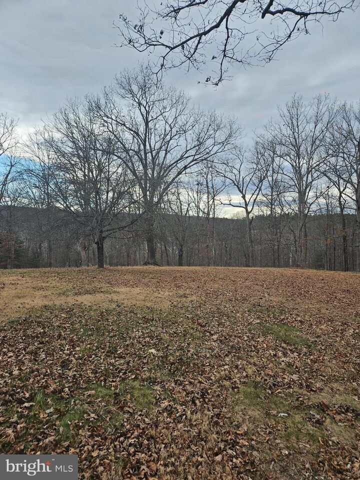 Property Photo:  180 Goldfinch Lane  VA 22637 