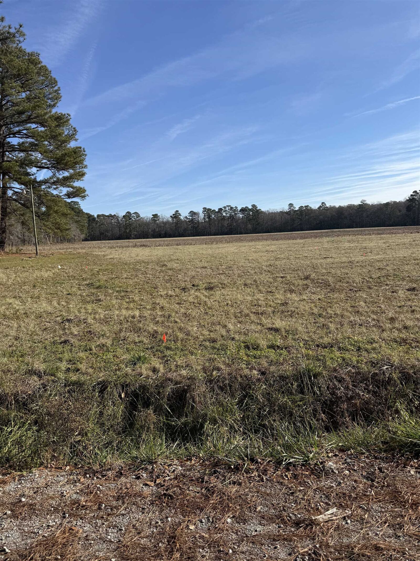 Property Photo: Lot 5 Johnson Shelley Rd. SC 29526