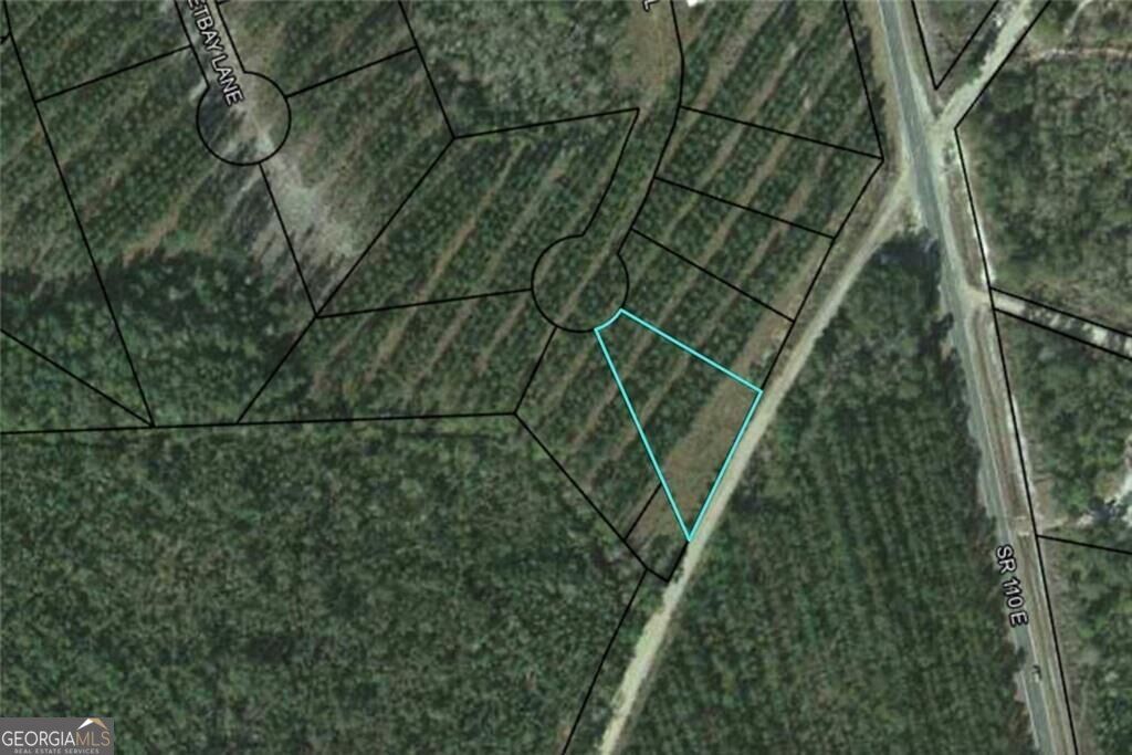 Property Photo:  Lot 34 Landing Trail  GA 31566 