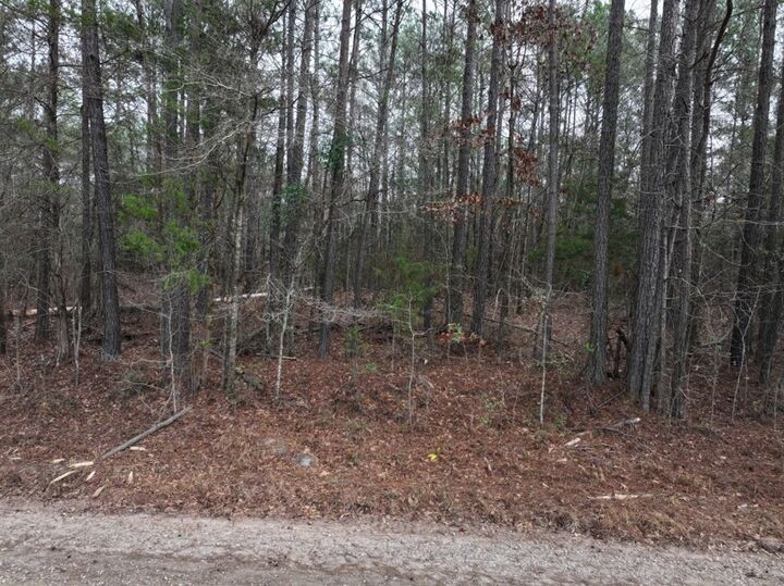 Property Photo:  Lot 1 Silva Drive  GA 31811 