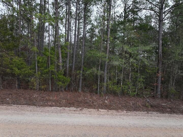 Property Photo:  Lot 3 Silva Drive  GA 31811 