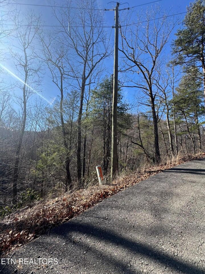 Property Photo:  Tract 15 Blossom Hollow Way  TN 37876 