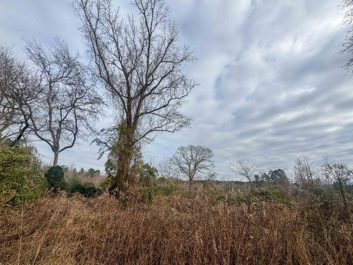 Property Photo:  Tbd Cr 2619  TX 75566 